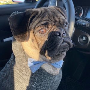 Meet your Posher, Ruby